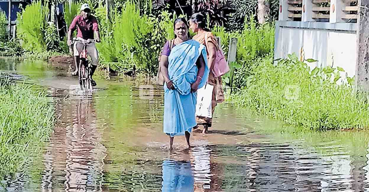 മഴ കനത്തു: റോഡ് വെള്ളത്തിൽ | Alappuzha rain update | Alappuzha weather ...