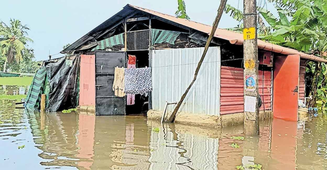 വെള്ളത്തിലായി കൃഷിയും ജീവിതവും; പലയിടത്തും വൈദ്യുതി ബന്ധം താറുമാറായി ...