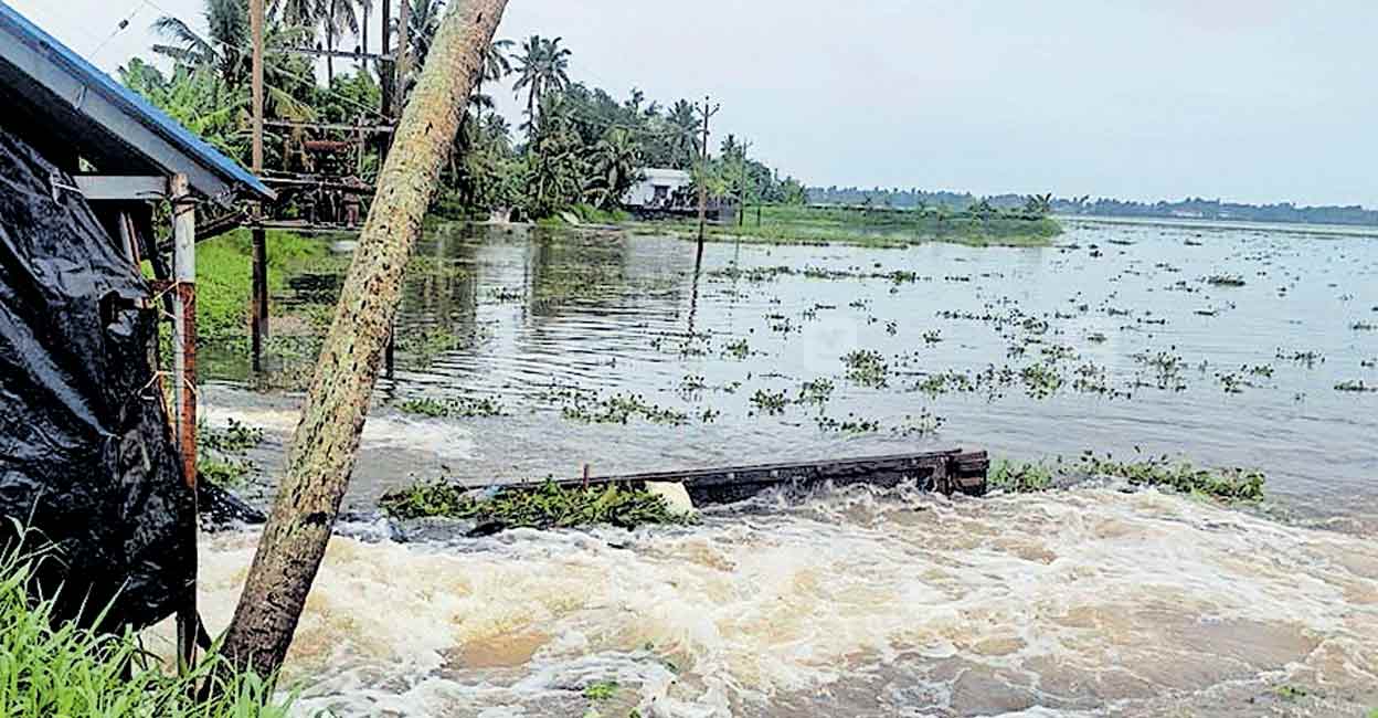 എടത്വയിൽ 2 പാടങ്ങളിൽ മട വീണു | Alappuzha rain update | Alappuzha ...
