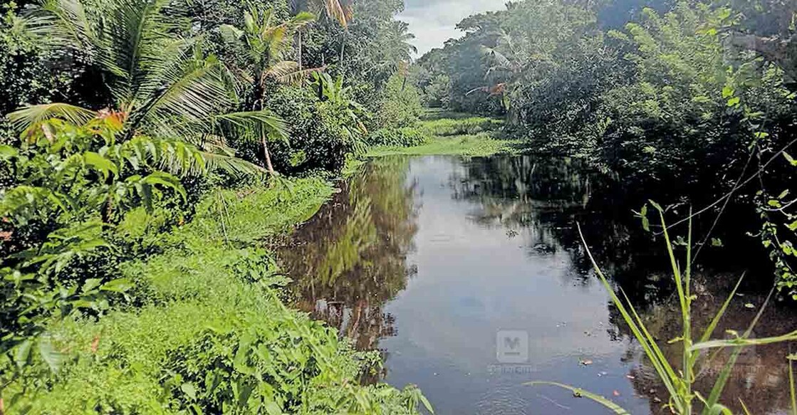 എഎസ് കനാൽ ചേർത്തല തെക്ക് പഞ്ചായത്ത് ഭാഗം.  