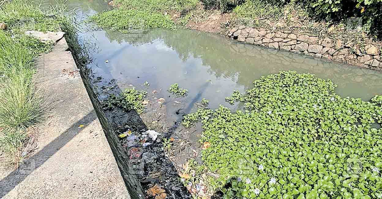 തോട്ടമുഖപ്പുകടവ് തോട്, കോയിക്കൽപള്ളം തോട്; ഈ തോടുകൾ സുന്ദരമാക്കണം ...
