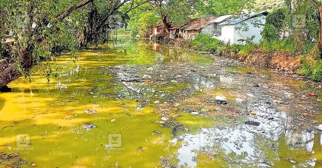 ചേർത്തല നഗരത്തിലെ എഎസ് കനാലിൽ മാലിന്യം നിറഞ്ഞുകിടക്കുന്നു