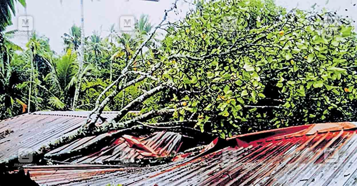 മഴ കനത്തു: വെള്ളക്കെട്ടിൽ നാട് | Alappuzha rain update | Alappuzha ...