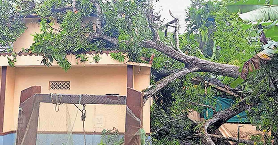 മരം കടപുഴകി വീണു രാമങ്കരി പഞ്ചായത്ത് 8–ാം വാർഡ് ശ്രീകൃഷ്ണ വിലാസത്തിൽ കെ.വിജയകുമാറിന്റെ വീട് തകർന്ന നിലയിൽ. 