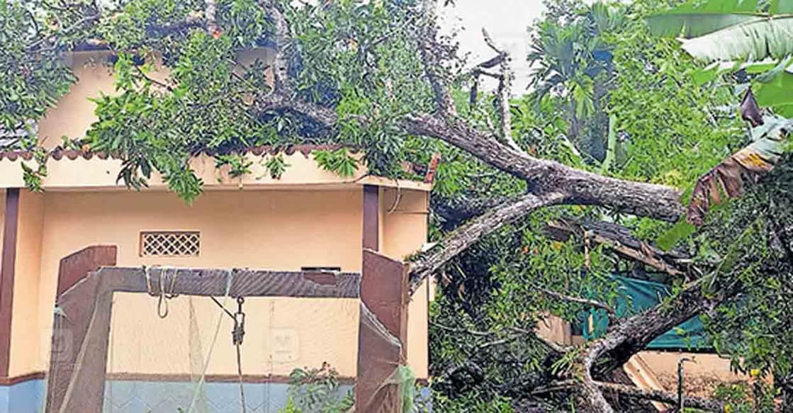 kuttanad-rain-damage-1-6 മരം കടപുഴകി വീണു രാമങ്കരി പഞ്ചായത്ത് 8–ാം വാർഡ് ശ്രീകൃഷ്ണ വിലാസത്തിൽ കെ.വിജയകുമാറിന്റെ വീട് തകർന്ന നിലയിൽ.