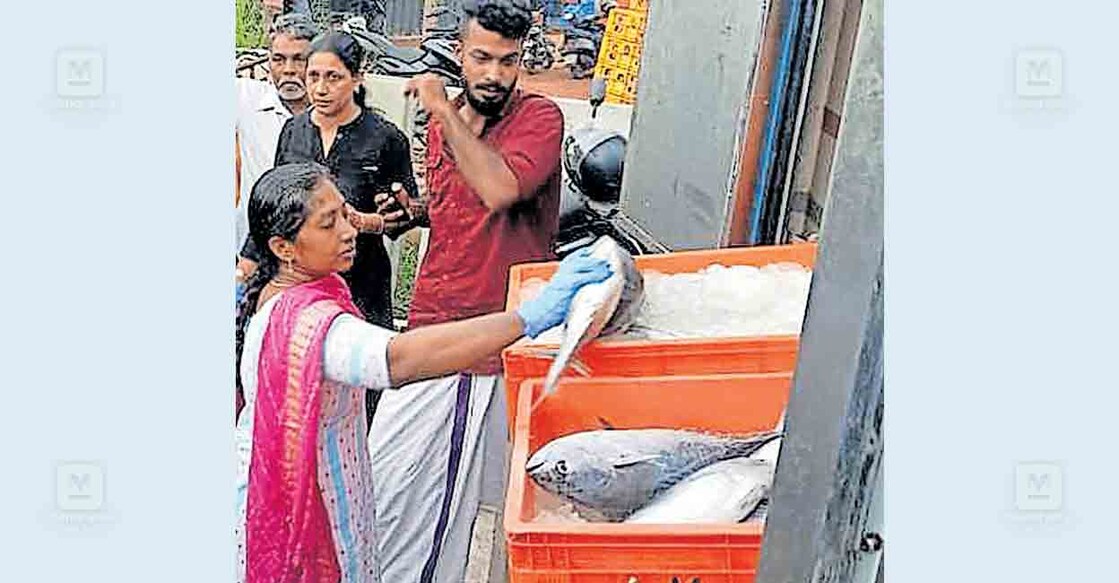 കായംകുളത്ത് ഭക്ഷ്യസുരക്ഷാ വിഭാഗം പഴകിയ മത്സ്യങ്ങൾ 
പിടികൂടുന്നു.  