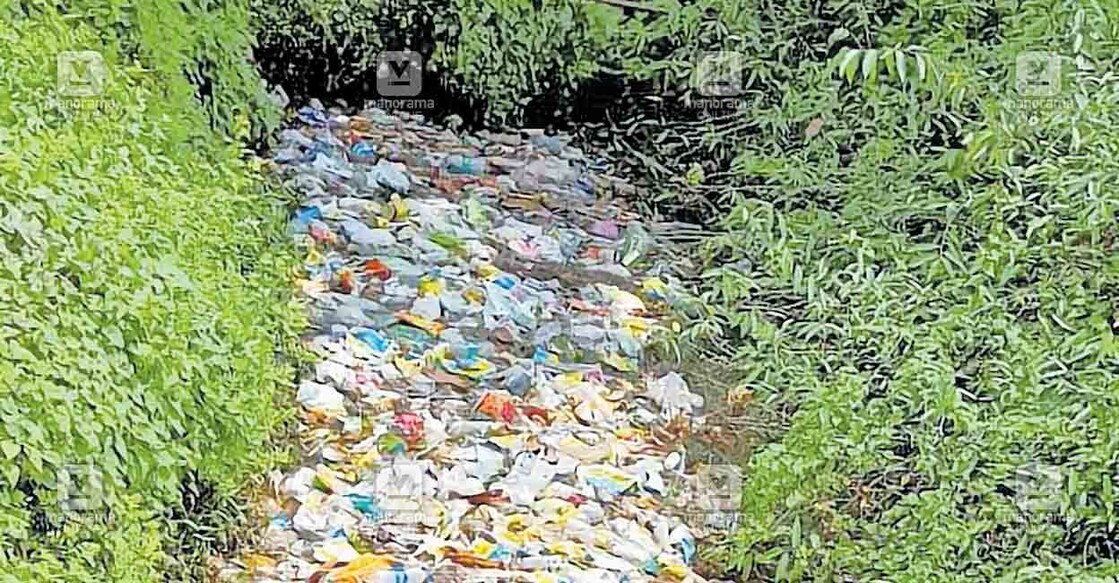 alappuzha-waste-5 മാവേലിക്കര നഗരത്തിലൂടെ ഒഴുകുന്ന കോട്ടത്തോട്ടിൽ മാലിന്യം കെട്ടിക്കിടക്കുന്നു.