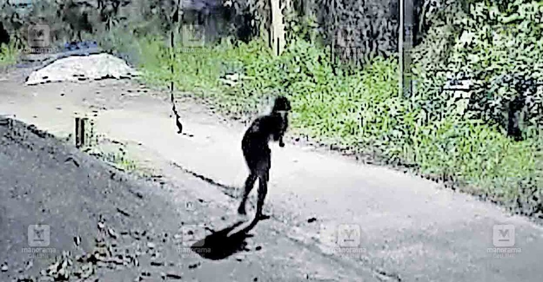cheppad-shop-theft ചേപ്പാട്ട് റെയിൽവേ സ്റ്റേഷൻ റോഡിൽ നിരീക്ഷണ ക്യാമറയിൽ പതിഞ്ഞ മോഷ്ടാവിന്റെ ചിത്രം.