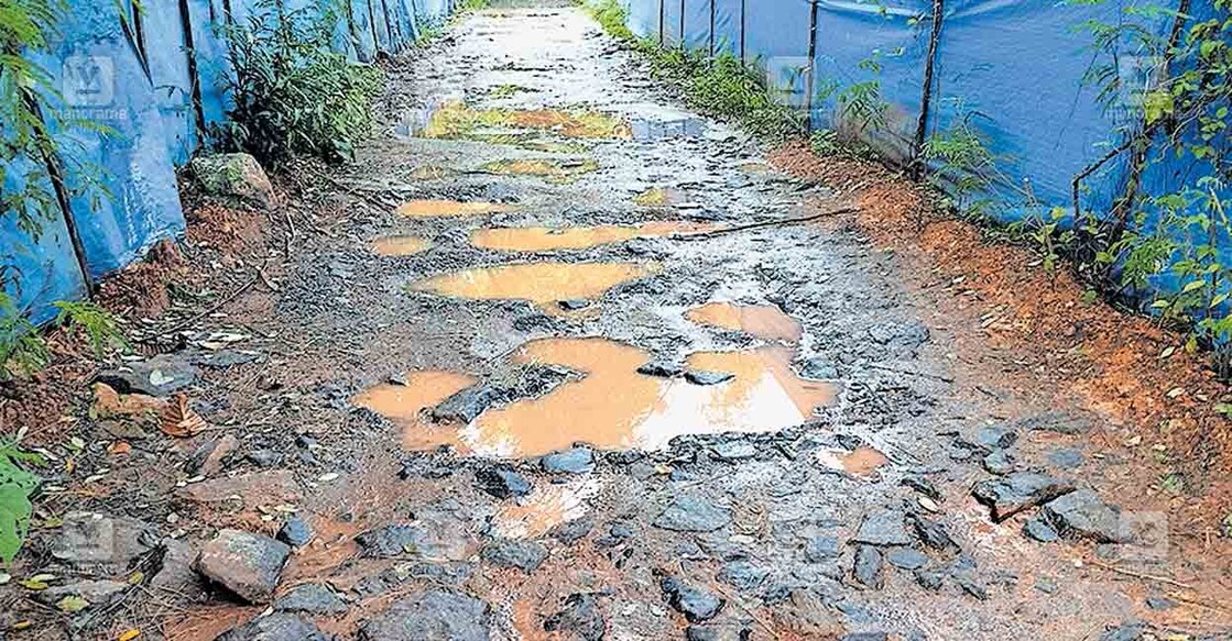 മാക്കേക്കടവ് ചങ്ങാട ഫെറിയിലേക്കുള്ള റോഡ്.