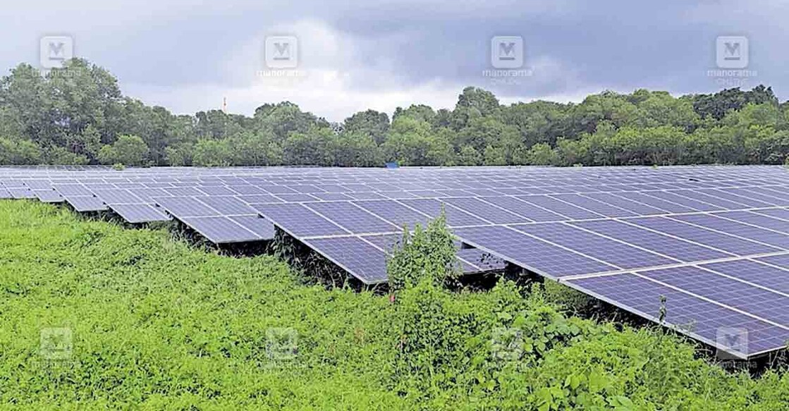 പൊതുമേഖലാ സ്ഥാപനമായ ഓട്ടോകാസ്റ്റിലെ സോളർ പ്ലാന്റിന്റെ പാനലുകളിലേക്കു കാടുപടർന്ന നിലയിൽ. 