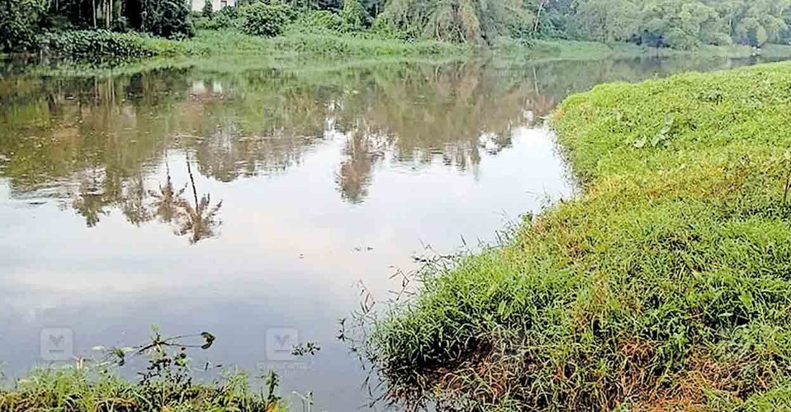 കോട്ടയ്ക്കൽ കടവ് പാലത്തിന് ഭീഷണിയായി മാലിന്യം | Pampa River pollution ...