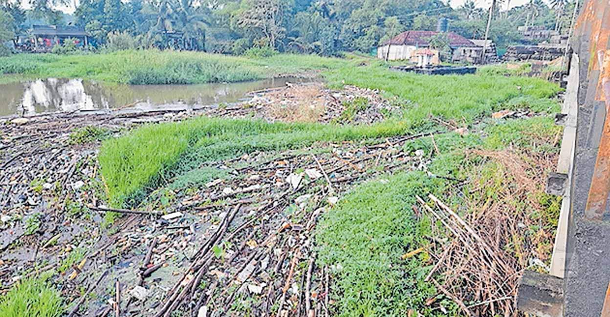 മഴയിൽ ഒഴുകിയെത്തുന്ന മാലിന്യം പാലത്തിന്റെ തൂണിൽ തങ്ങി നീരൊഴുക്ക് തടസ്സം ...