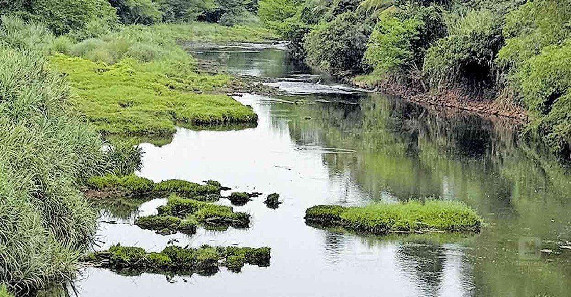 ജലനിരപ്പ് കുറഞ്ഞ അവസ്ഥയിൽ അച്ചൻകോവിലാർ.