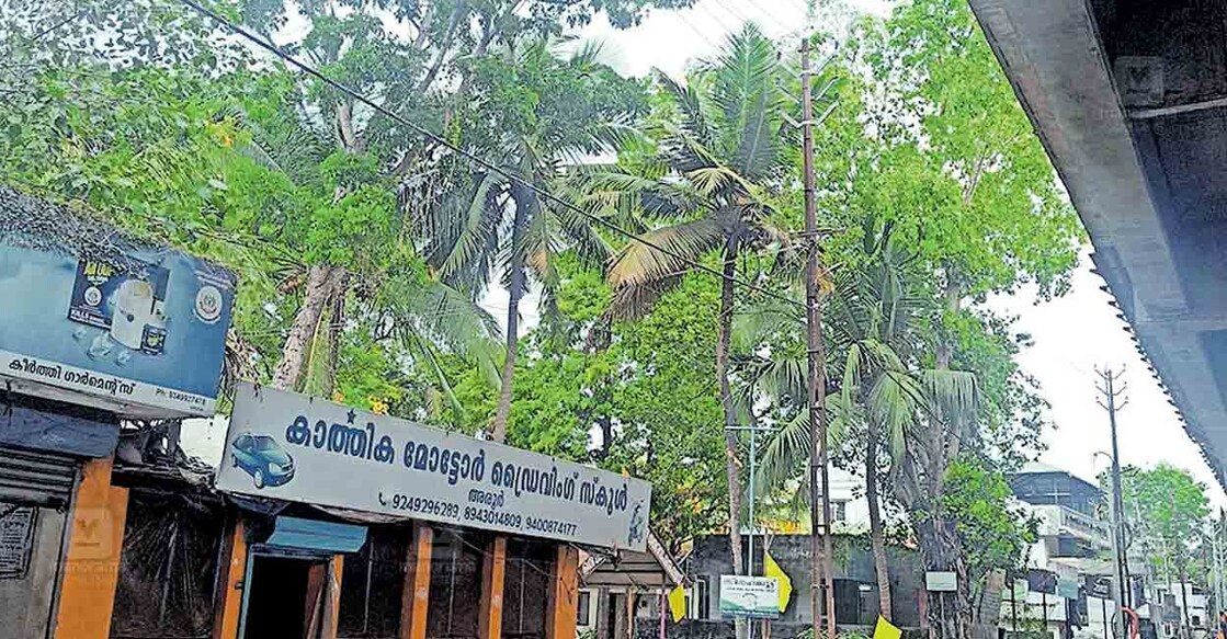 11kv-line-flyover-aroor-thuravoor ഉയരപ്പാതയുടെ കോൺക്രീറ്റ് തട്ടിനരികിലൂടെയുള്ള 11 കെവി ലൈൻ.