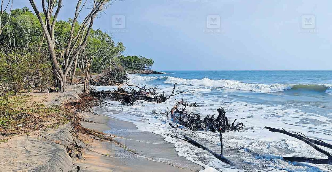 പുന്നപ്ര തെക്ക് നർബോന ‌പള്ളിക്കു സമീപം തീരം കടലെടുത്ത നിലയിൽ. നർബോന പള്ളിക്കു സമീപം മുതൽ വാവക്കാട് പൊഴി വരെയുള്ള ഭാഗത്ത് കടലാക്രമണം രൂക്ഷമാണ്. കടൽഭിത്തി തീരെയില്ലാത്ത  ഭാഗത്ത് തിരമാലകൾ കരയിലേക്ക് കയറി 100 മീറ്ററിലധികം തീരം കവർന്നു. വാവക്കാട് പൊഴിക്കു തെക്ക് പുലിമുട്ട് നിർമിച്ചതോടെയാണ് വടക്ക് ഭാഗത്ത് കടൽ ക്ഷോഭം രൂക്ഷമായതെന്ന് തീരദേശവാസികൾ പറയുന്നു.  