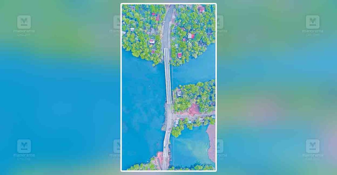 പള്ളിപ്പുറം വിളക്കുമരം പാലം  