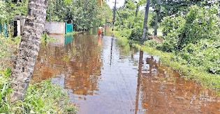മഴ മാറിയെങ്കിലും വെള്ളക്കെട്ട് ഒഴിയുന്നില്ല; പ്രശ്നം രൂക്ഷം പട്ടണക്കാട് പഞ്ചായത്ത് പടിഞ്ഞാറൻ മേഖലയിൽ