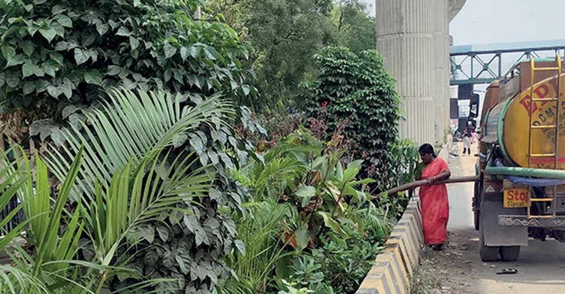 green-spaces-blooming-across-bengaluru-metro-lines