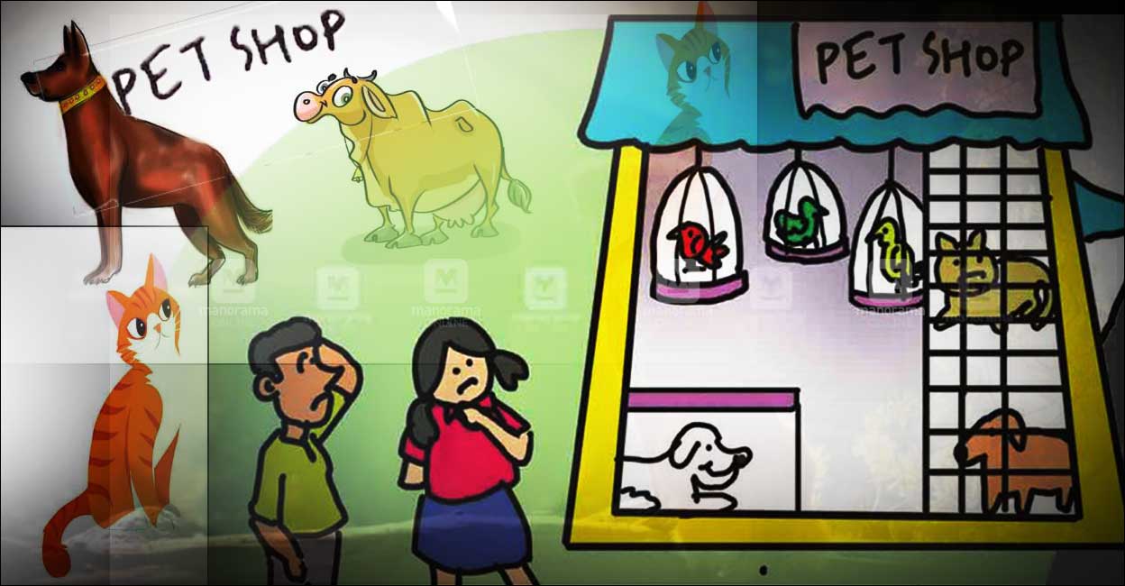 അരുമ മൃഗവിൽപനയ്ക്കു കർശന നിബന്ധനകൾ; പക്ഷിമൃഗ വിൽപന ശാലകൾ ഇനി പ്രായപൂർത്തി ആയവർക്കു മാത്രം