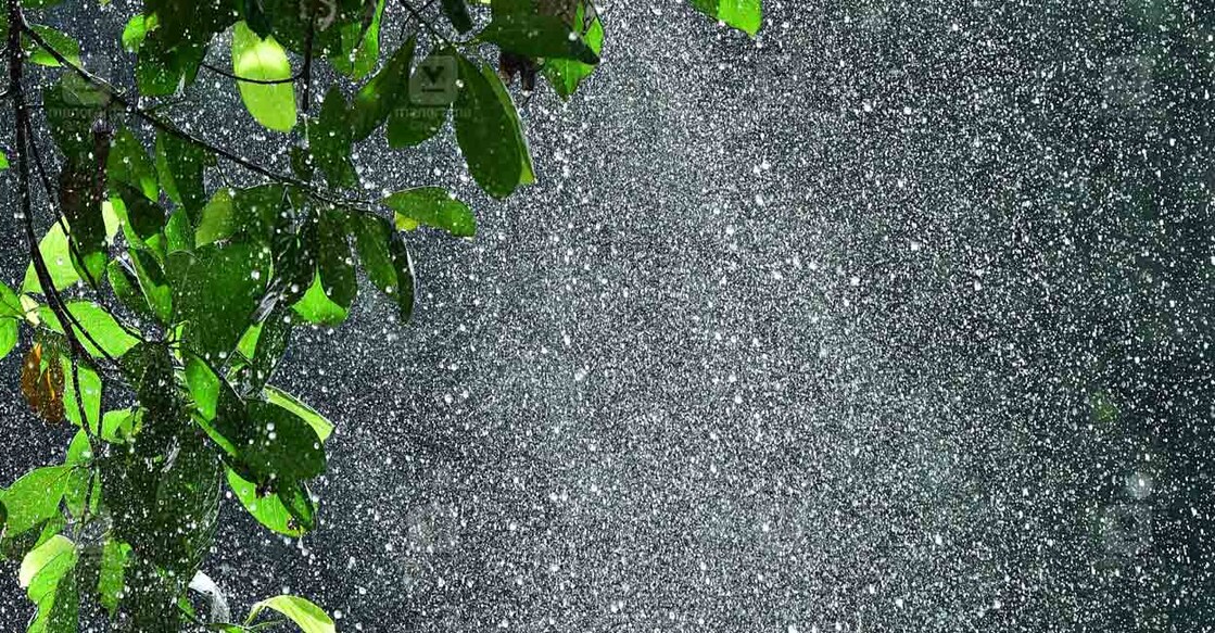 rain-local-news