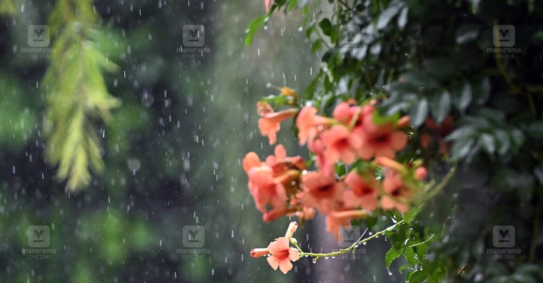 rain-local-news