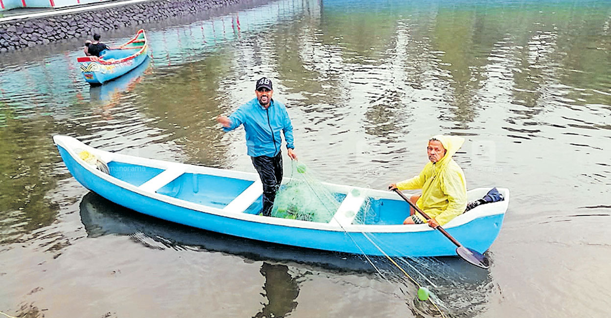 കടലിലും കായലിലും വറുതി; പച്ചമീൻ വളർത്തുകേന്ദ്രത്തിൽ മാത്രം
