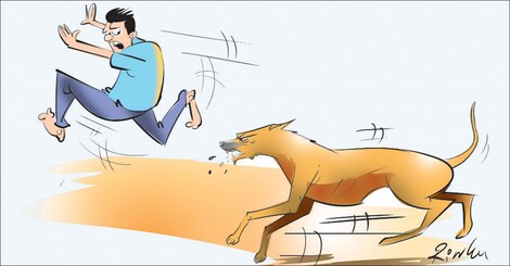 തെരുവുനായാട്ട്; നായ്ക്കളുടെ കടിയേറ്റ് ആശുപത്രിയിൽ ചികിത്സ തേടുന്നവരുടെ എണ്ണത്തിൽ വർധന | Stray Dog Rescue Kerala | Stray Dog Menace Kerala | Stray Dog Population Kerala | Stray ... തെരുവുനായാട്ട്; നായ്ക്കളുടെ കടിയേറ്റ് ആശുപത്രിയിൽ ചികിത്സ തേടുന്നവരുടെ എണ്ണത്തിൽ വർധന | Stray Dog Rescue Kerala | Stray Dog Menace Kerala | Stray Dog Population Kerala | Stray ...