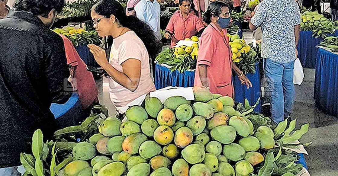 കൊച്ചി മെട്രോയുടെ ആറാം വാർഷിക ആഘോഷങ്ങളുടെ ഭാഗമായി വൈറ്റില മെട്രോ സ്റ്റേഷനിൽ ഒരുക്കിയിരിക്കുന്ന ‘മധുരം മനോഹരം’ ഫ്ലവർ ആൻഡ് മാംഗോ ഫെസ്റ്റിവലിൽ നിന്ന്.  