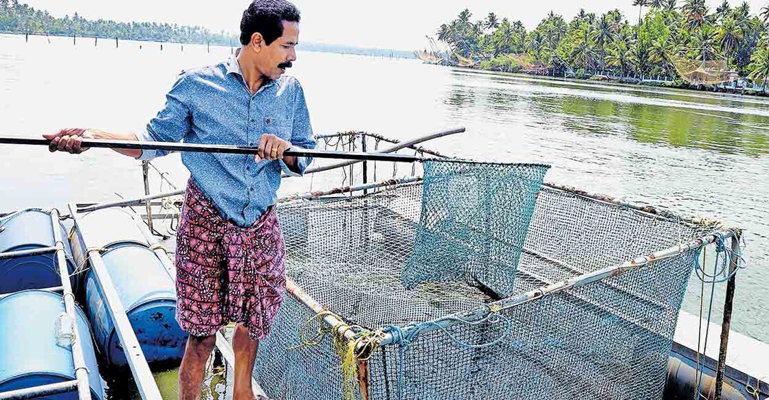 ernakulam-fishing-shibu ernakulam-fishing-shibu