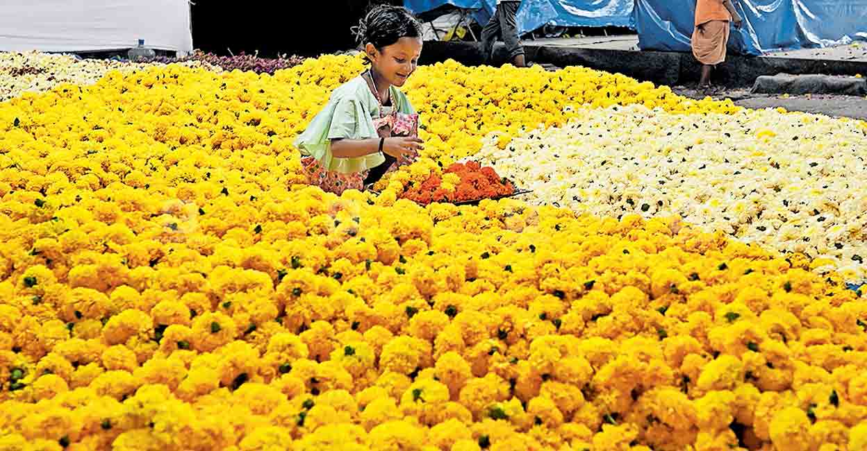 ജോസ് ജംക്‌ഷനിൽ തോൽപ്പാവക്കൂത്ത്, പേട്ടയിൽ ചവിട്ടുകളി; നഗര രാവിനിന്ന്