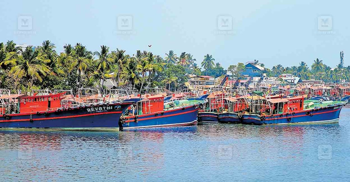 മീൻക്ഷാമത്തെ തുടർന്നു വൈപ്പിൻ ഫിഷിങ്ഹാർബറിൽ കെട്ടിയിട്ടിരിക്കുന്ന ഫിഷിങ്‌ബോട്ടുകൾ.  