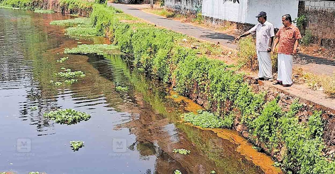 ernakulam-waste-issue മാലിന്യങ്ങൾ നിറഞ്ഞ് നിറം മാറി ഒഴുകുന്ന വേതുചിറ.