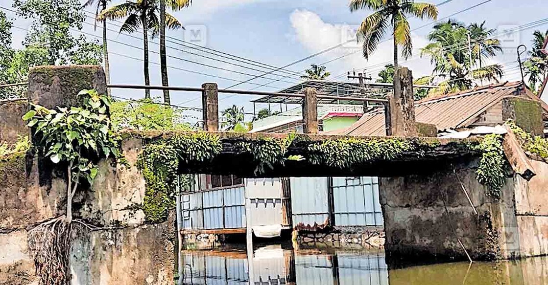 അപകടാവസ്ഥയിലായ ചെല്ലാനം ഗൊണ്ടുപറമ്പ് പാലം. ചിലയിടത്ത് കൈവരികൾ തകർന്നു കിടക്കുന്നതു കാണാം.  