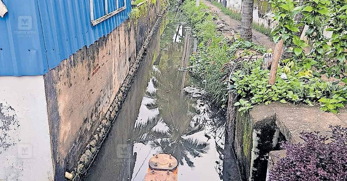 കയ്യേറ്റം കണ്ടെത്തിയ ചെല്ലാനം എട്ടാം വാ൪ഡിലെ പരാത്തൻവീട് തോട്.  