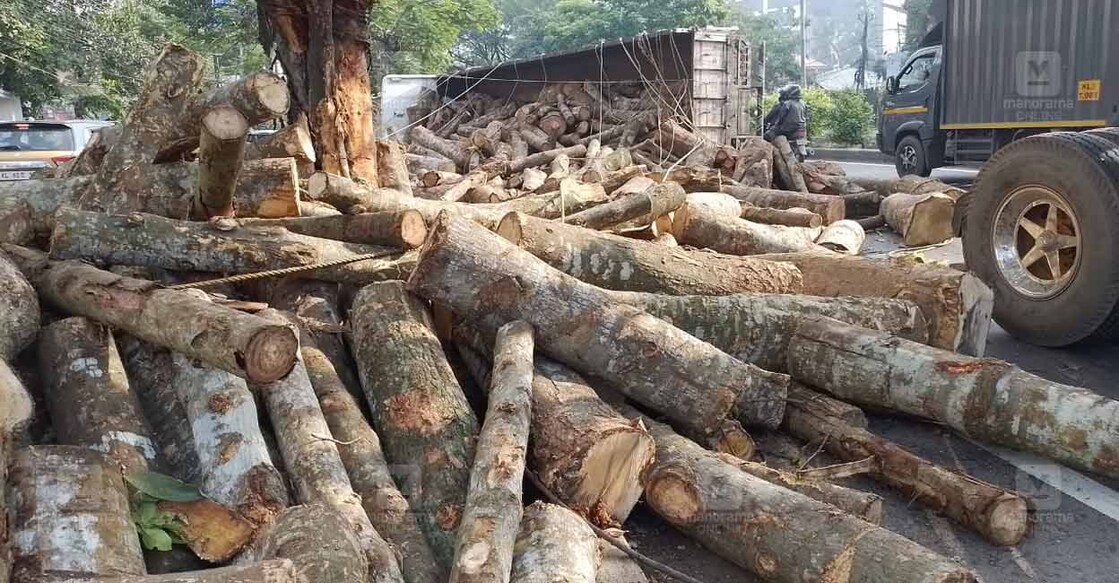 timber-lorry-overturns-edappally-vytila-highway timber-lorry-overturns-edappally-vytila-highway