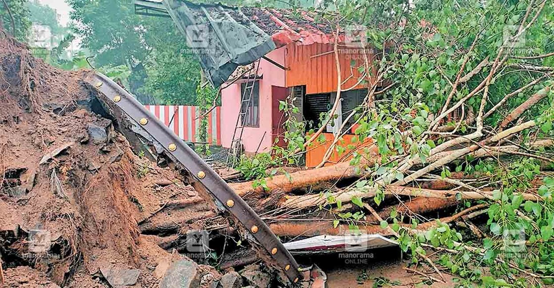 ശക്തമായ കാറ്റ‌ിൽ ചേന്ദമംഗലം അങ്കാളിയമ്മൻ ക്ഷേത്രത്തിലെ ആൽമരം നിലംപൊത്തിയ നിലയിൽ.  
