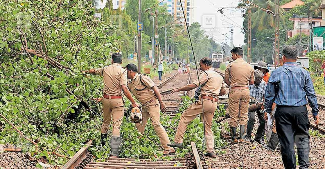 എറണാകുളം പച്ചാളത്ത് റെയിൽവേ ട്രാക്കിലേക്കു മരം വീണ് ഗതാഗതം തടസ്സപ്പെട്ടപ്പോൾ.ചിത്രം: മനോരമ  