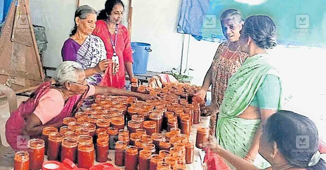 വിമാനയാത്രാ സ്വപ്നം സഫലമാക്കാൻ ഓണവിപണി ലക്ഷ്യമിട്ട് വടുകപ്പുളി അച്ചാർ തയാറാക്കുന്ന മരട് നഗരസഭ 14ാം ഡിവിഷൻ സ്നേഹതീരം വയോമിത്രം ക്ലബ് അംഗങ്ങൾ.  