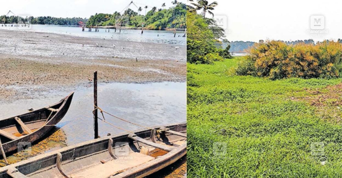 അന്നും ഇന്നും  2018ലെയും 2019ലെയും വെള്ളപ്പൊക്കത്തിനു ശേഷം എക്കലും ചെളിയും അടിഞ്ഞു ഏലൂരിൽ നികന്നുകിടക്കുന്ന പെരിയാർ (ഇടത്ത്). എക്കലിനു മേൽ പുല്ലും കാടും വളർന്നു മൂടിയ പെരിയാറിന്റെ ഇപ്പോഴത്തെ അവസ്ഥ.  
