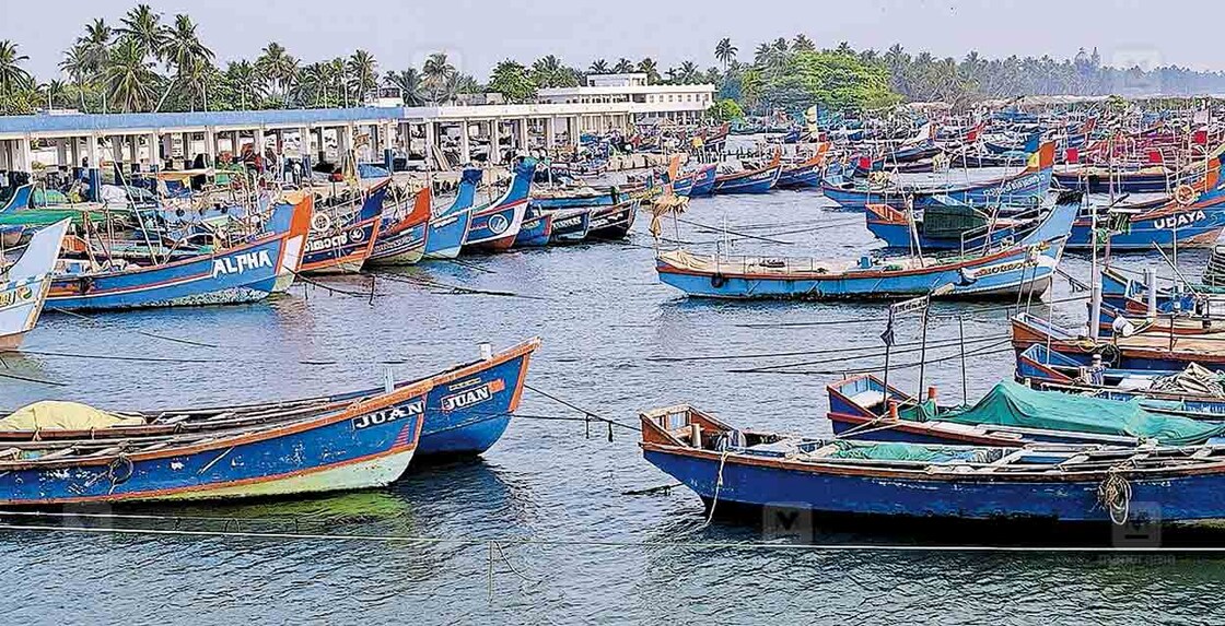 കടലിൽ മത്സ്യലഭ്യത കുറഞ്ഞതോടെ ചെല്ലാനം മിനി ഫിഷിങ് ഹാർബറിൽ വള്ളങ്ങൾ കയറ്റിയിട്ടിരിക്കുന്നു.  
