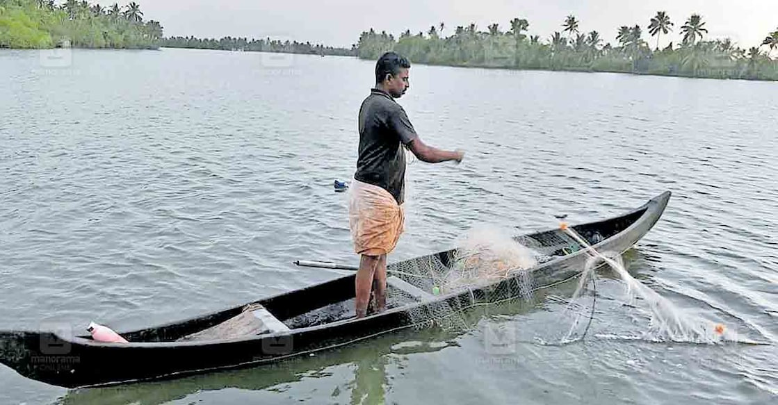 കൈതപ്പുഴക്കായലിൽ വലയിടുന്ന മത്സ്യത്തൊഴിലാളി  