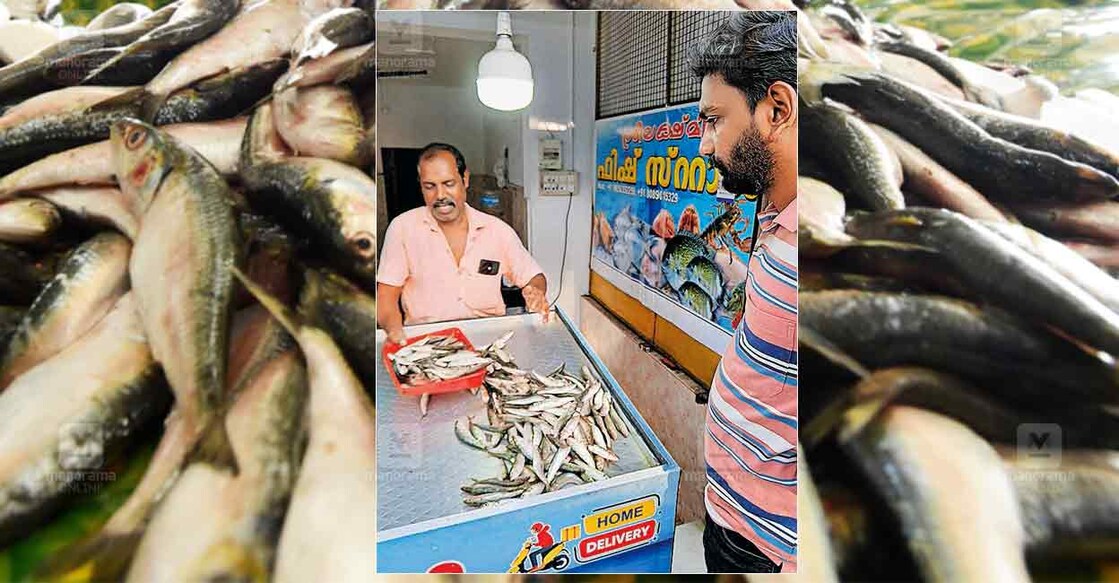 vypin-fish-shortage-ekm vypin-fish-shortage-ekm