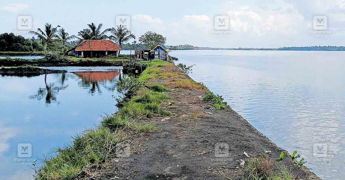 vaipin-island വൈപ്പിനിലെ കിഴക്കൻ കായലോരം. എടവനക്കാട് നിന്നുള്ള ദൃശ്യം.