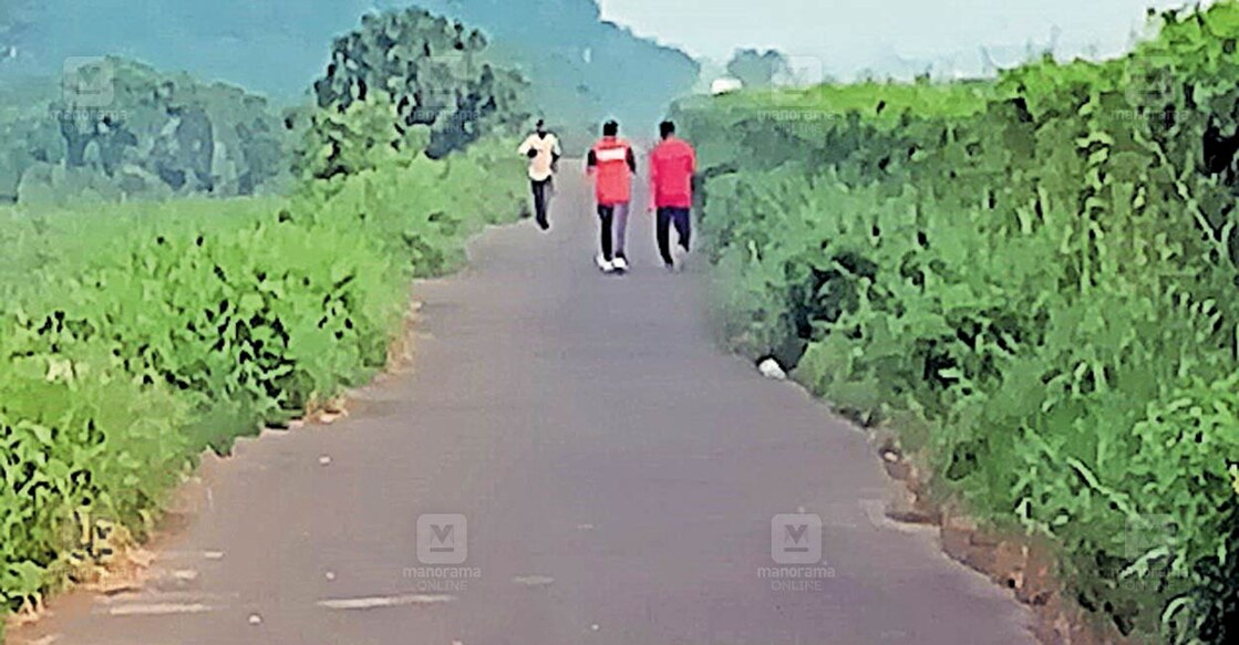 കൊച്ചി വിമാനത്താവളത്തോടു ചേർന്നുള്ള കല്ലുംകൂട്ടം– കല്ലയം റിങ് റോഡിന്റെ ഇരുവശവും കാടും പടർപ്പും നിറഞ്ഞപ്പോൾ.