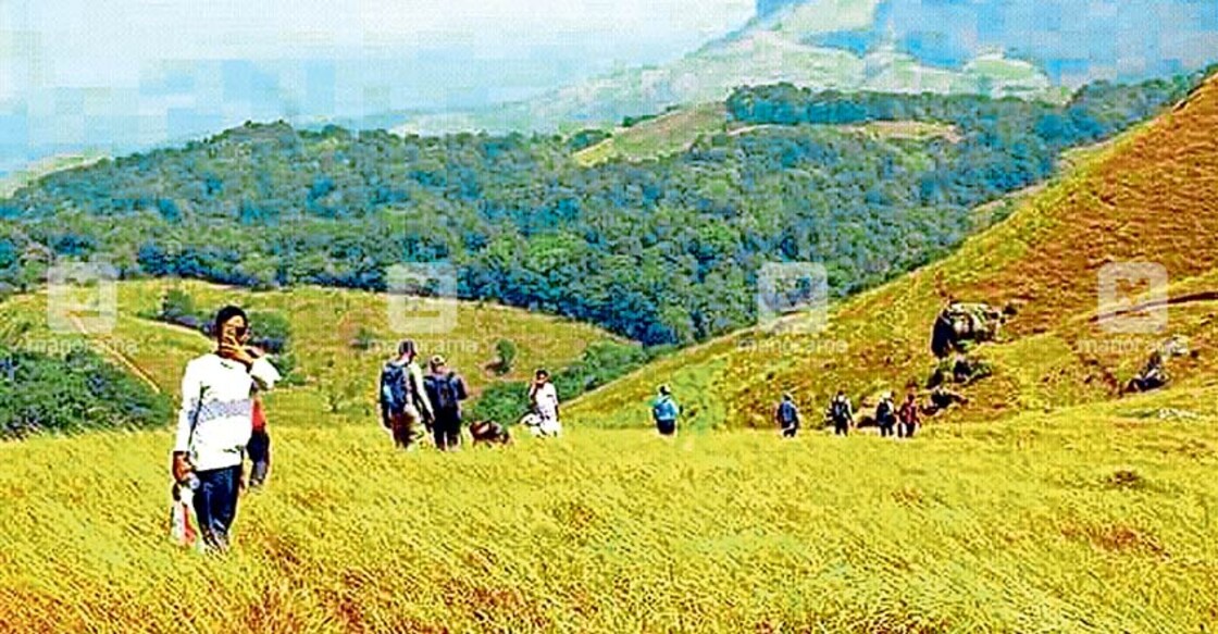 ഇടുക്കി വന്യജീവി സങ്കേതത്തിലെ വാകവനം മേഖലയിലൂടെ ട്രക്കിങ് നടത്തുന്ന സഞ്ചാരികൾ. ഇടുക്കി വന്യജീവി സങ്കേതത്തിലെ വാകവനം മേഖലയിലൂടെ ട്രക്കിങ് നടത്തുന്ന സഞ്ചാരികൾ.