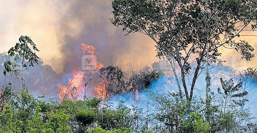 തമിഴ്നാട്ടിലെ തേനി ജില്ലയിലെ രാശിങ്കാപുരം മലനിരകളിൽ ഉണ്ടായ കാട്ടുതീ. തമിഴ്നാട്ടിലെ തേനി ജില്ലയിലെ രാശിങ്കാപുരം മലനിരകളിൽ ഉണ്ടായ കാട്ടുതീ.
