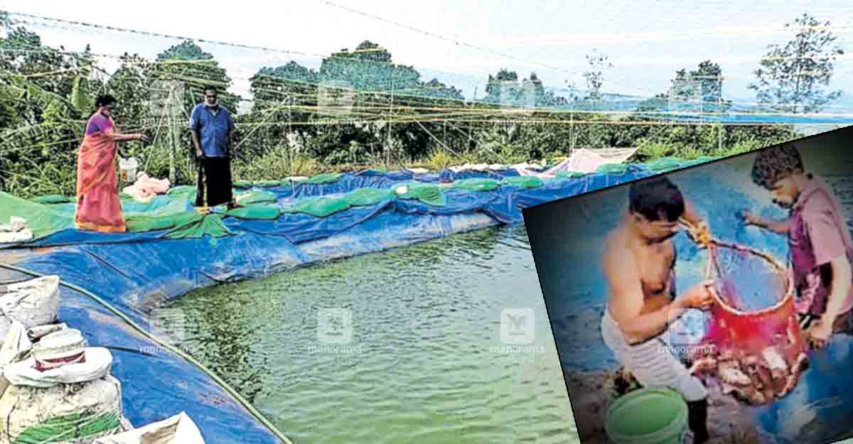 വർഷം 15 ലക്ഷത്തോളം രൂപയുടെ വരുമാനം; അവിചാരിതമായി തുടങ്ങി, നേട്ടം കൊയ്ത്