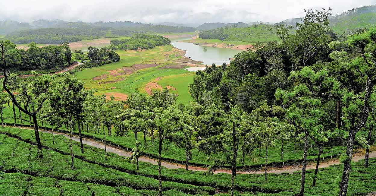 ബഫര്‍ സോണിൽ സര്‍ക്കാരിനെതിരെ തെറ്റായ പ്രചാരവേല സിപിഎം Bufferzone Kerala Government