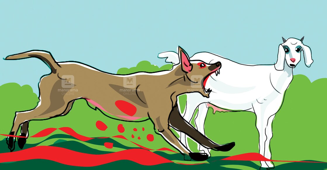 idukki-street-dog-attack