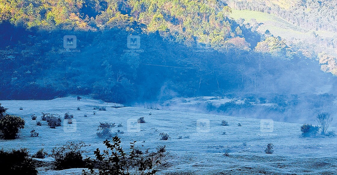 idukki-snow-in-munnar idukki-snow-in-munnar